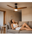 Ventilateur de Plafond LED Silencieux - Moteur DC & Bois